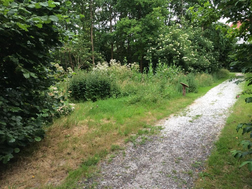 B&B 'T Buitenkansje Almere Luaran gambar